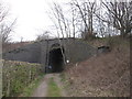 Bridge under the dismantled railway at Dingle Bank