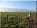 Field by the B4011 near Boarstall