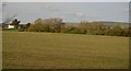 Wiltshire farmland