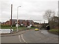 Canal Fields, Ettiley Heath (2)