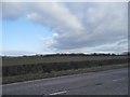 Fields north of Oakley by the B4011