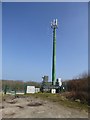 Communications mast in Steeple Woods, Carbis Bay