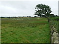 SH4659 : Farmland near Saron by Eirian Evans