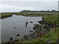 Mouth of the River Gwyrfai at Foryd Bay