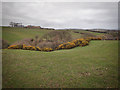 Looking towards Northfields Farm