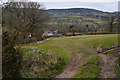 Mid Devon : Grassy Field