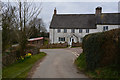 Mid Devon : Country Lane