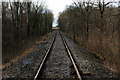 SE2589 : Wensleydale Railway heading West through Langthorn Wood by Chris Heaton