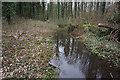 Small stream in Manby Wood