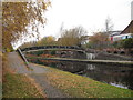 SP0487 : Lea Bridge 1 - Rotton Park, Birmingham by Martin Richard Phelan