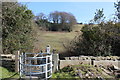 Pasture and woodland behind Penmaen Chapel