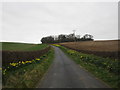 Road to Elmswell Wold Farm