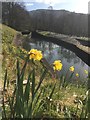 Neath Canal