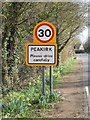 TF1606 : Daffodils alongside Deeping Road, Peakirk by Paul Bryan