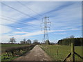 Access  road  from  Foss  Farm  toward  Birker  Lane