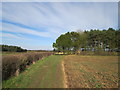 Footpath  from  Wilberfoss  toward  Carberry  Hill  Farm