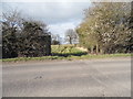 Farm track off Thame Road, Kingsey