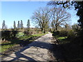 Road used as a permitted path on the Hyde Estate