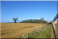 Field by the railway