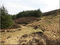 NR7541 : Allt Deucheran course runs through the forest by John Ferguson
