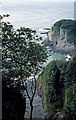 Ravine in the cliff, west of Combe Martin