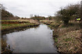 Bottesford Beck at Holme Wood