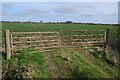 Gates into a field of rowing broad beans