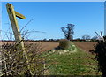 Public footpath along Gypsy Lane