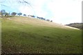 Farmland near Great Plantation