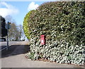 Elizabeth II postbox on Pirton Road
