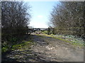 Farm track off Barton Road