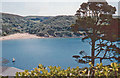 Salcombe: eastward across harbour, 1967