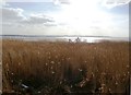 View Across the Humber