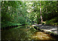 Llangollen Canal west of Chirk