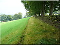 Footpath to East Longley, Norland