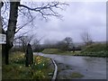 The lane to Pennar Fach Farm Stud