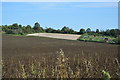 Farmland near Bridge