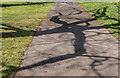 Shadows on Path, Broomfield Park, London N13