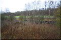 Scrubland between railway lines at Westthorpe Run-Round