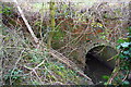 SU1285 : Culvert for stream under footpath at Westmead by Roger Templeman