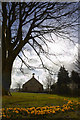NS4857 : Neilston parish church halls by david cameron photographer