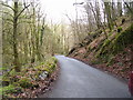 Road down from Pont Cych