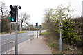 TA1434 : Crossings on the A165 at Gangstead by Ian S