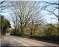 Porthleven Road dropping towards the Loe Valley