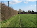 Footpath through arable land to Halesworth Road, Redisham