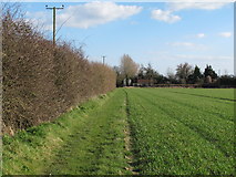 TM4084 : Footpath through arable land to Halesworth Road, Redisham by Roger Jones