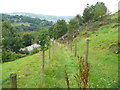 On the footpath from Long Lane to Rochdale Road, Norland