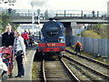 Steam Locomotive No.85 approaches at Whitehead