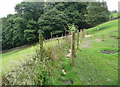 On the footpath from Long Lane to Rochdale Road