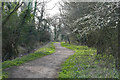 Blackwater Valley Path, Aldershot